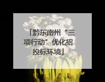 黔东南州“三项行动”优化招投标环境