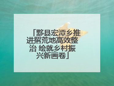 黟县宏潭乡推进撂荒地高效整治 绘就乡村振兴新画卷
