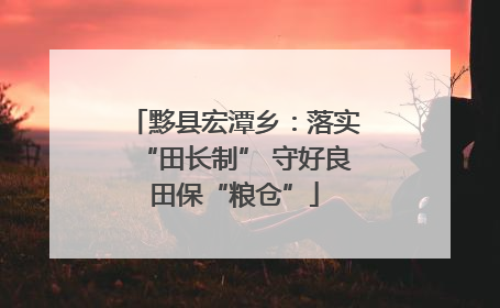黟县宏潭乡：落实“田长制” 守好良田保“粮仓”