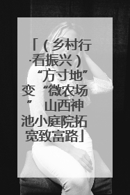 （乡村行·看振兴）“方寸地”变“微农场” 山西神池小庭院拓宽致富路