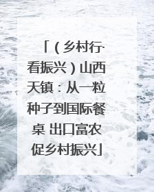 （乡村行·看振兴）山西天镇：从一粒种子到国际餐桌 出口富农促乡村振兴