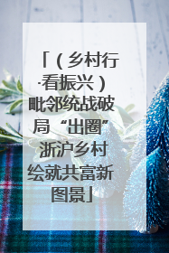 （乡村行·看振兴）毗邻统战破局“出圈” 浙沪乡村绘就共富新图景