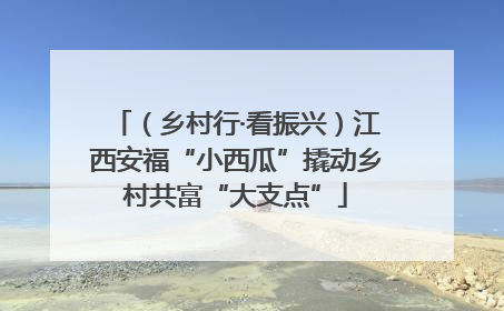 （乡村行·看振兴）江西安福“小西瓜”撬动乡村共富“大支点”