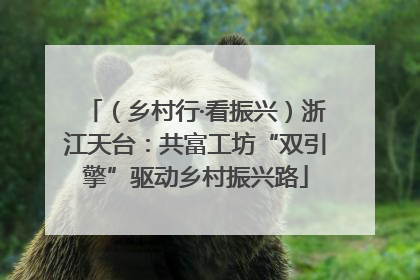 （乡村行·看振兴）浙江天台：共富工坊“双引擎”驱动乡村振兴路