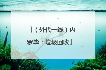 （外代一线）内罗毕：垃圾回收