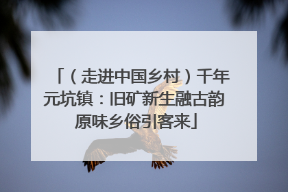 （走进中国乡村）千年元坑镇：旧矿新生融古韵 原味乡俗引客来