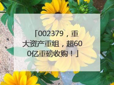 002379，重大资产重组，超600亿重磅收购！