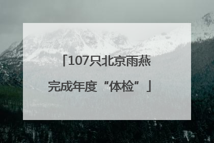 107只北京雨燕完成年度“体检”