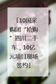 10国采购团“抢购”四川二手车，10亿元项目现场签约