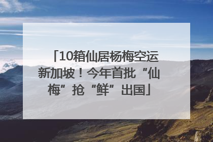 10箱仙居杨梅空运新加坡！今年首批“仙梅”抢“鲜”出国