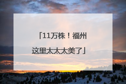 11万株！福州这里太太太美了