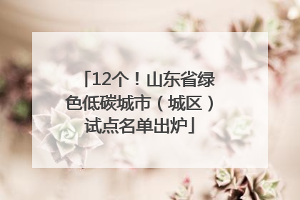 12个！山东省绿色低碳城市（城区）试点名单出炉