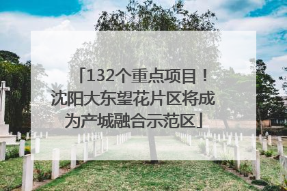 132个重点项目！沈阳大东望花片区将成为产城融合示范区