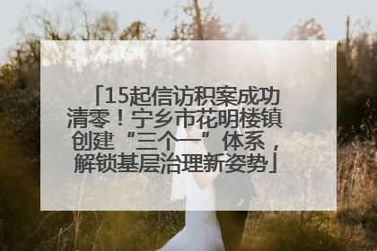 15起信访积案成功清零！宁乡市花明楼镇创建“三个一”体系，解锁基层治理新姿势