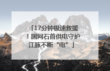 17分钟极速救援！国网石首供电守护江豚不断“电”