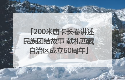 200米唐卡长卷讲述民族团结故事 献礼西藏自治区成立60周年
