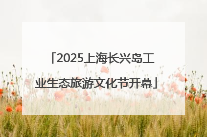 2025上海长兴岛工业生态旅游文化节开幕