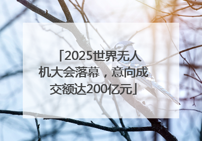2025世界无人机大会落幕，意向成交额达200亿元