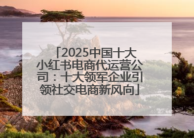 2025中国十大小红书电商代运营公司：十大领军企业引领社交电商新风向