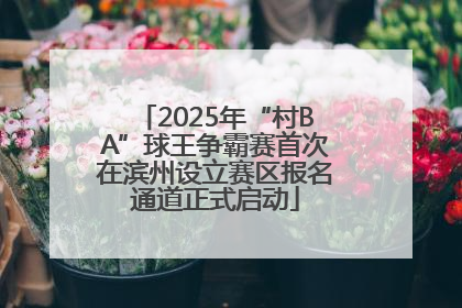 2025年“村BA”球王争霸赛首次在滨州设立赛区报名通道正式启动