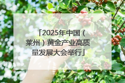 2025年中国（莱州）黄金产业高质量发展大会举行