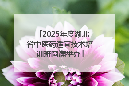 2025年度湖北省中医药适宜技术培训班圆满举办