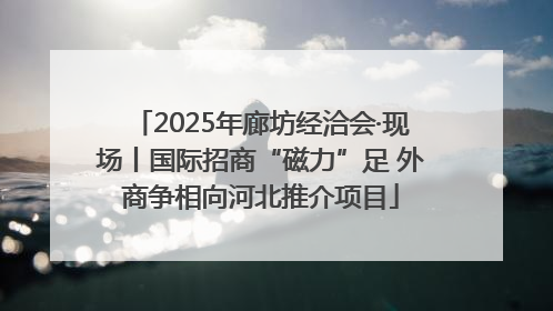 2025年廊坊经洽会·现场丨国际招商“磁力”足 外商争相向河北推介项目
