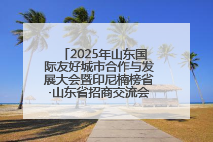 2025年山东国际友好城市合作与发展大会暨印尼楠榜省·山东省招商交流会在济南槐荫举行