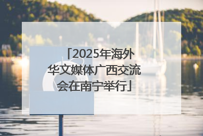 2025年海外华文媒体广西交流会在南宁举行