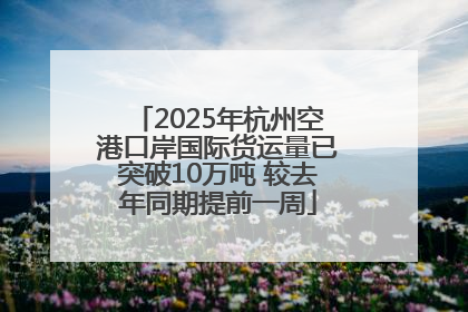 2025年杭州空港口岸国际货运量已突破10万吨 较去年同期提前一周
