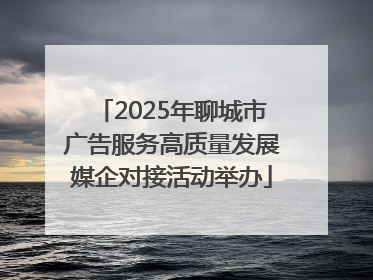 2025年聊城市广告服务高质量发展媒企对接活动举办