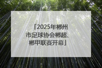 2025年郴州市足球协会郴超、郴甲联赛开幕