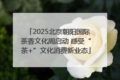 2025北京朝阳国际茶香文化周启动 感受“茶+”文化消费新业态