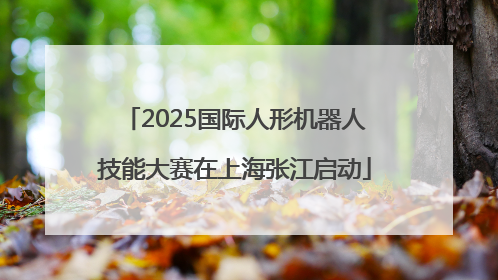 2025国际人形机器人技能大赛在上海张江启动