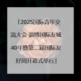 2025国际青年交流大会·淄博国际友城40年暨第二届国际友好周开幕式举行