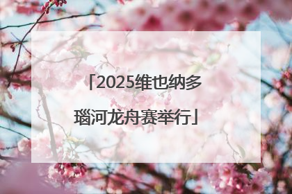 2025维也纳多瑙河龙舟赛举行