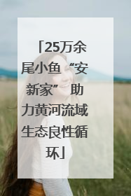 25万余尾小鱼“安新家” 助力黄河流域生态良性循环
