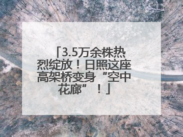 3.5万余株热烈绽放！日照这座高架桥变身“空中花廊”！