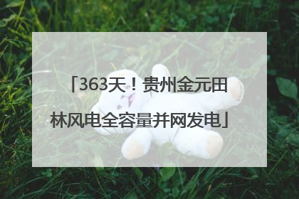 363天！贵州金元田林风电全容量并网发电