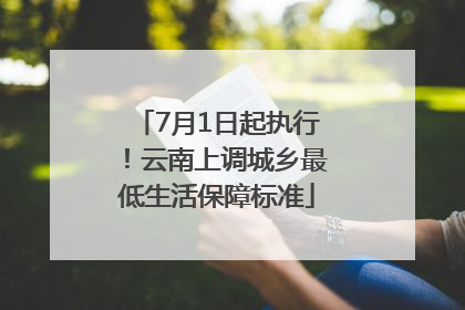 7月1日起执行！云南上调城乡最低生活保障标准