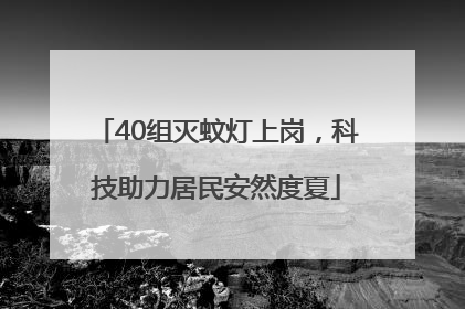 40组灭蚊灯上岗，科技助力居民安然度夏