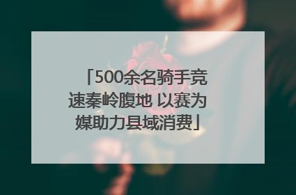 500余名骑手竞速秦岭腹地 以赛为媒助力县域消费