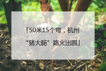 50米15个弯，杭州“猪大肠”路火出圈