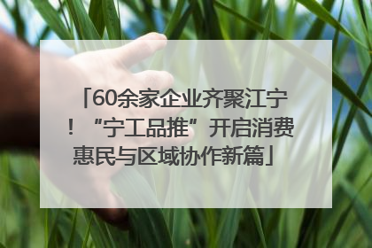 60余家企业齐聚江宁！“宁工品推”开启消费惠民与区域协作新篇