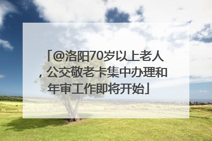 @洛阳70岁以上老人，公交敬老卡集中办理和年审工作即将开始