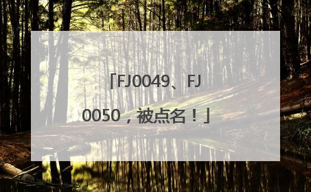 FJ0049、FJ0050，被点名！